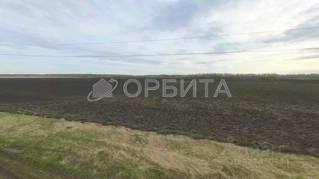 Участок в Тюменская область, Тюменский муниципальный округ, ... - Фото 1