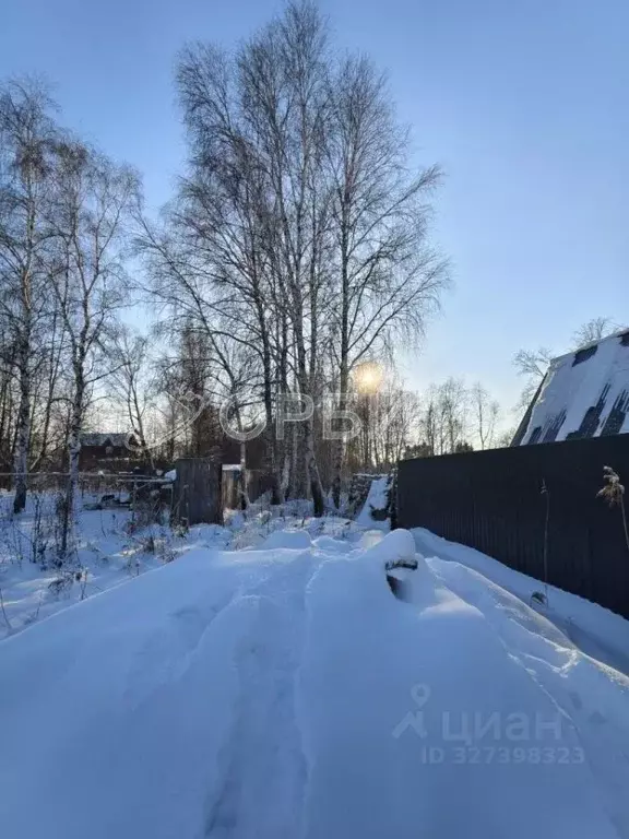 Участок в Тюменская область, Тюмень Якорь садовое товарищество, ул. ... - Фото 1