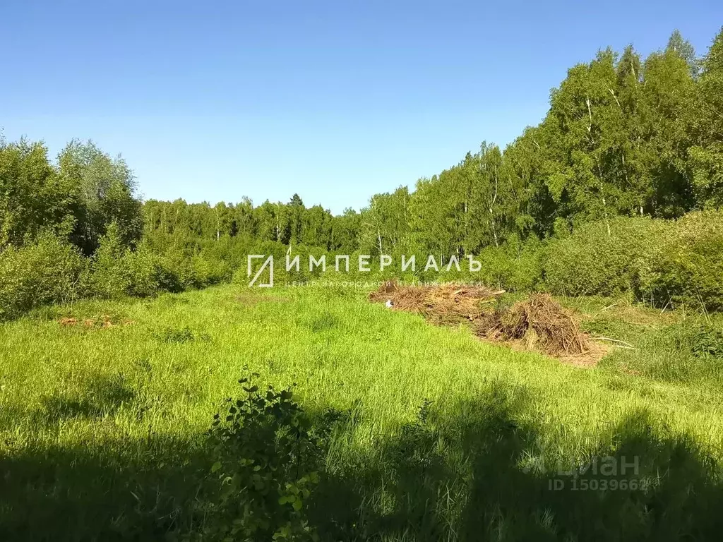 Участок в Калужская область, Боровский район, Совьяки с/пос, д. Лучны  ... - Фото 0