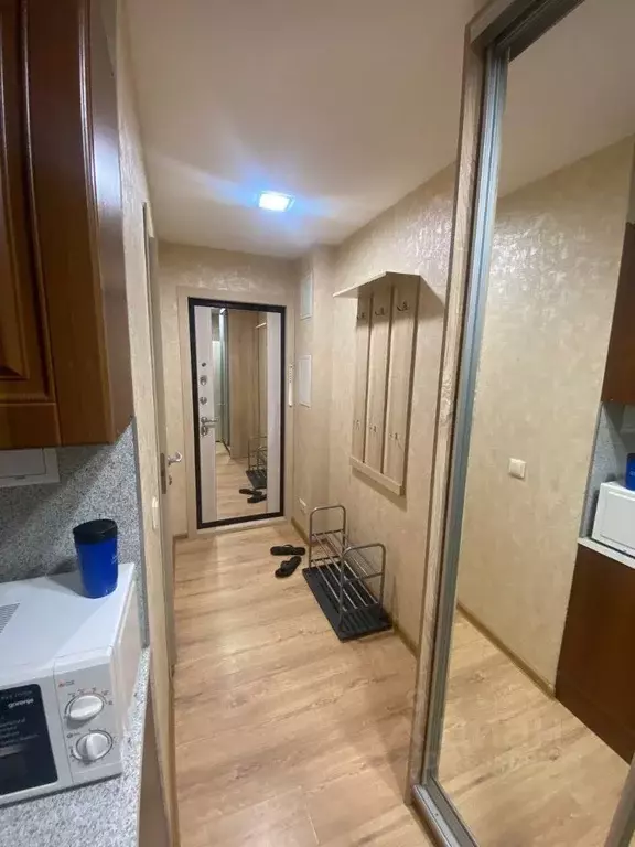Студия Санкт-Петербург Товарищеский просп., 1К1 (21.0 м) - Фото 1