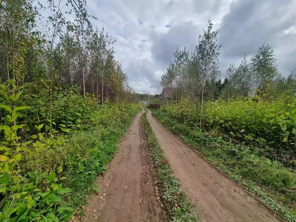 Участок в Московская область, Подольск городской округ, Матвеевское-1 ... - Фото 1