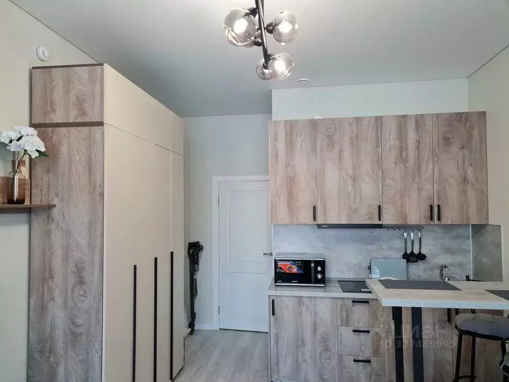 Студия Санкт-Петербург пос. Стрельна, просп. Буденного, 20к1 (26.0 м) - Фото 2