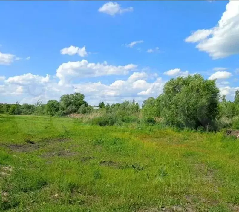 Участок в Воронежская область, с. Новая Усмань  (492.1 сот.) - Фото 0