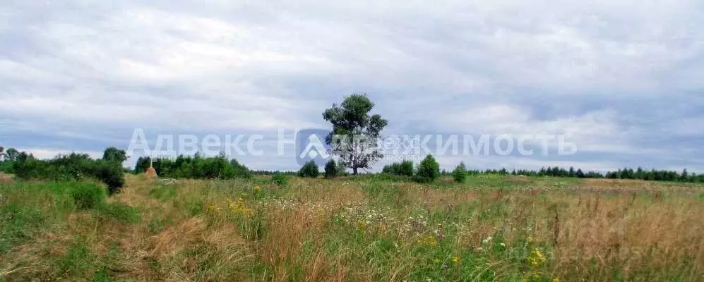 Участок в Тюменская область, Ярковский район, д. Березов Яр Береговая ... - Фото 1