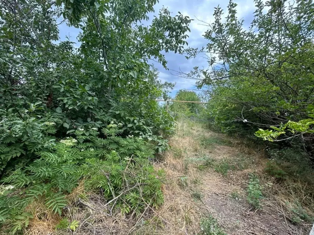 Участок в Краснодарский край, Анапа муниципальный округ, Заря хут. ул. ... - Фото 2