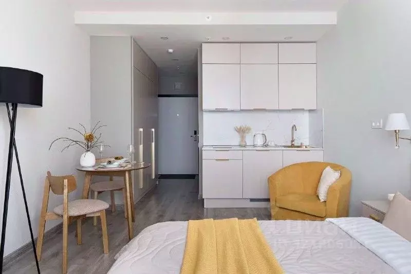 Студия Санкт-Петербург Витебский просп., 99к1 (26.0 м) - Фото 1