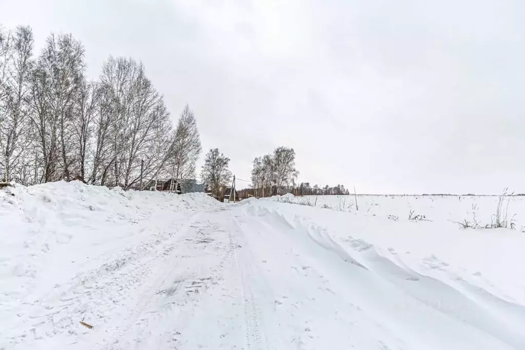 Участок в Новосибирская область, Бердск Марьин Лог СНТ, ул. 51-я, 25 ... - Фото 1