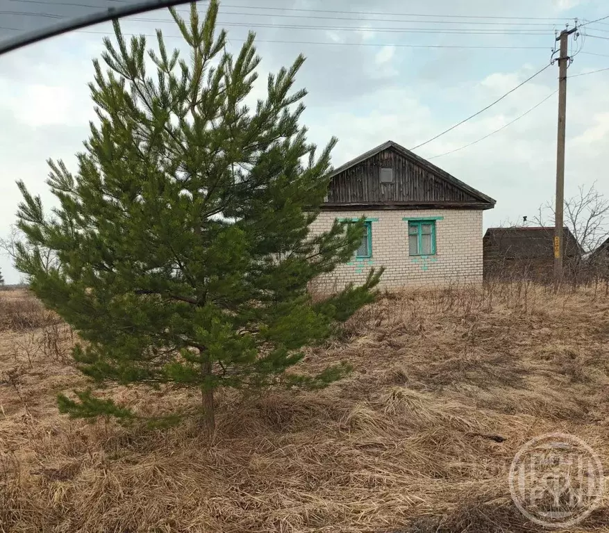 Дом в Новгородская область, Чудовский район, Успенское с/пос, д. ... - Фото 0