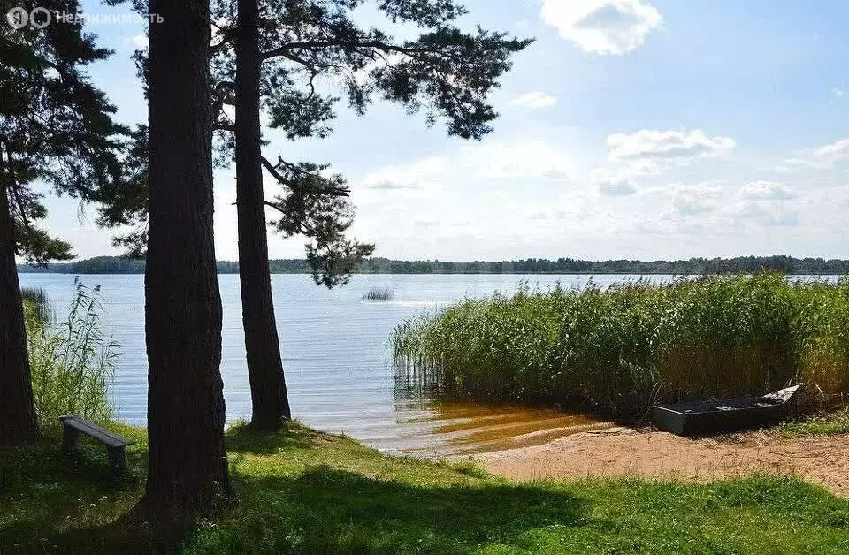 Участок в Московская область, городской округ Истра, деревня Алёхново ... - Фото 0