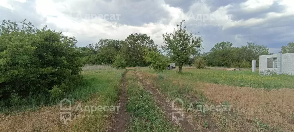 Участок в Волгоградская область, Краснослободск Среднеахтубинский ... - Фото 0
