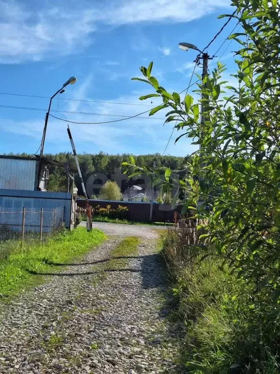 Участок в Тульская область, Дубенский район, Воскресенское с/пос, д. ... - Фото 2