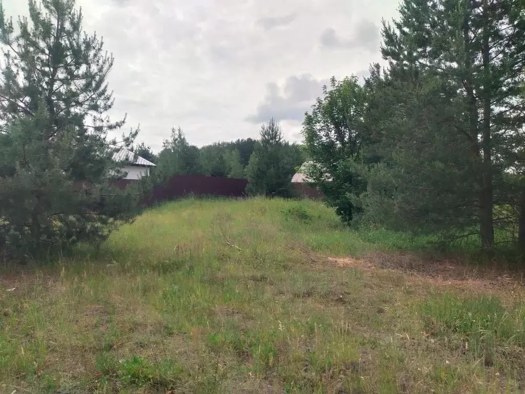 Участок в Московская область, Орехово-Зуевский городской округ, д. ... - Фото 0