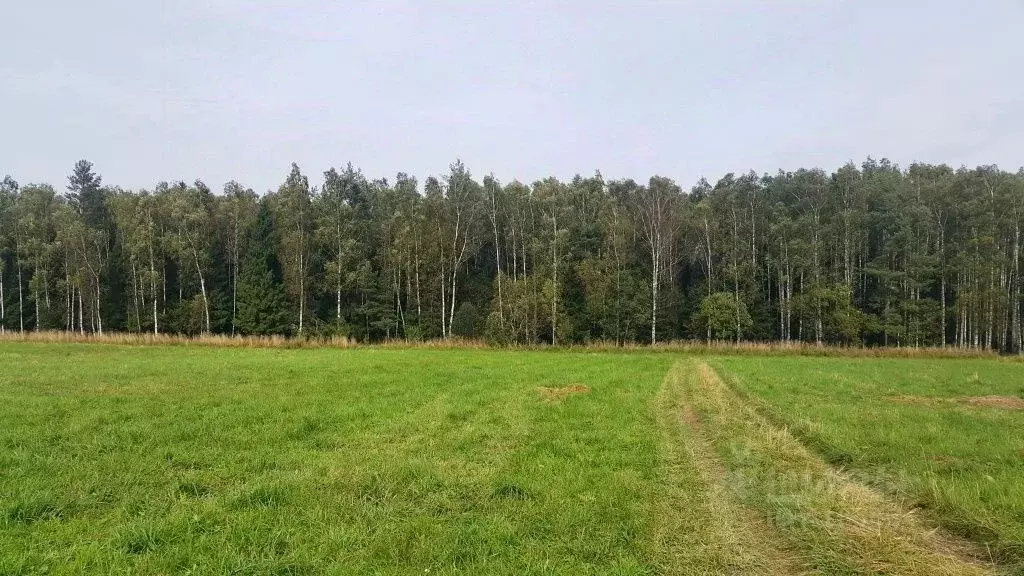 Участок в Владимирская область, Киржачский район, Кипревское ... - Фото 1