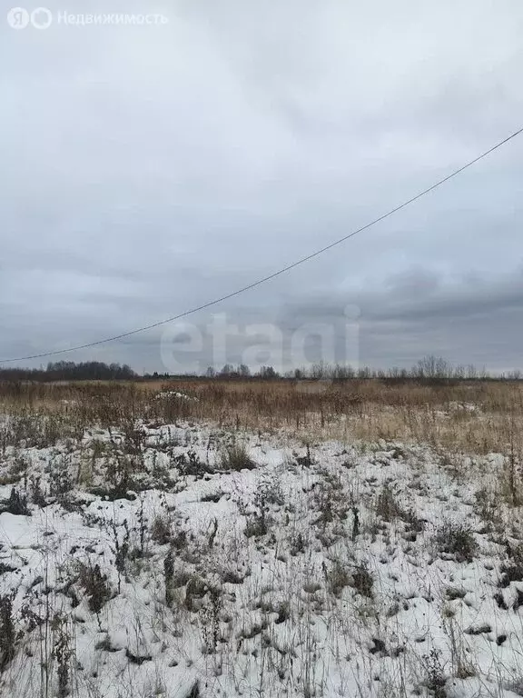 Участок в Кострома, коттеджный посёлок Первый (7.57 м) - Фото 1