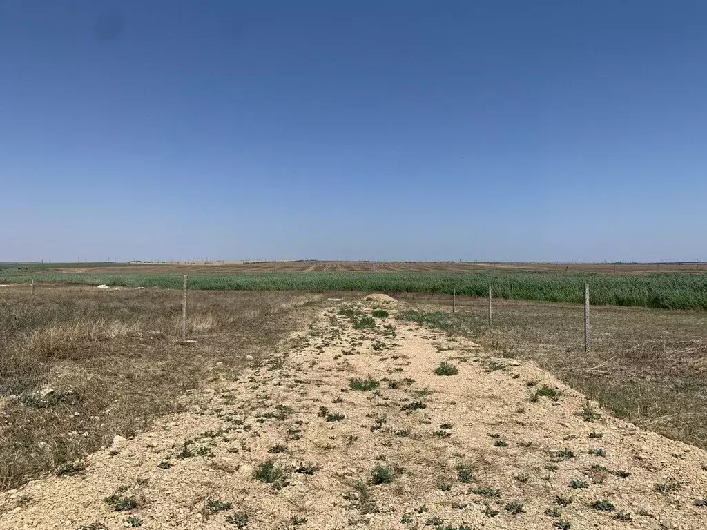 Участок в Крым, Феодосия Колос СПК, ул. Коммерческая (6.0 сот.) - Фото 0