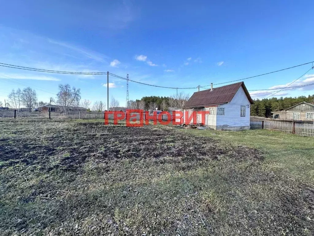 Участок в Новосибирская область, Тогучинский район, с. Усть-Каменка ... - Фото 2