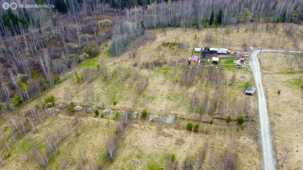 Участок в Томский район, ДНТ Новые Вешки, Янтарная улица, 2 (10 м) - Фото 2