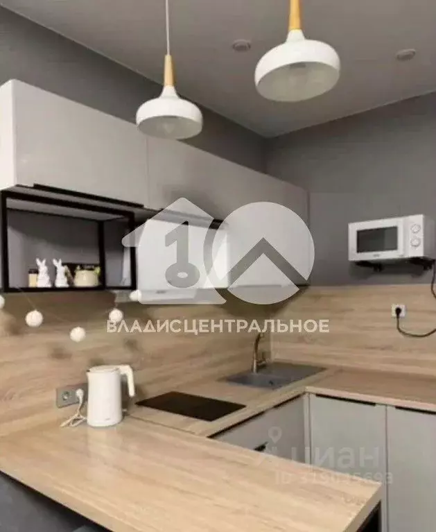 Студия Новосибирская область, Новосибирск Светлановская ул., 52/2 ... - Фото 0