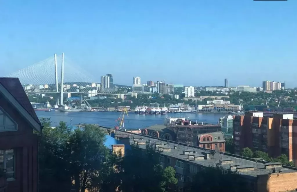 3-к кв. Приморский край, Владивосток Тигровая ул., 16А (100.0 м) - Фото 2