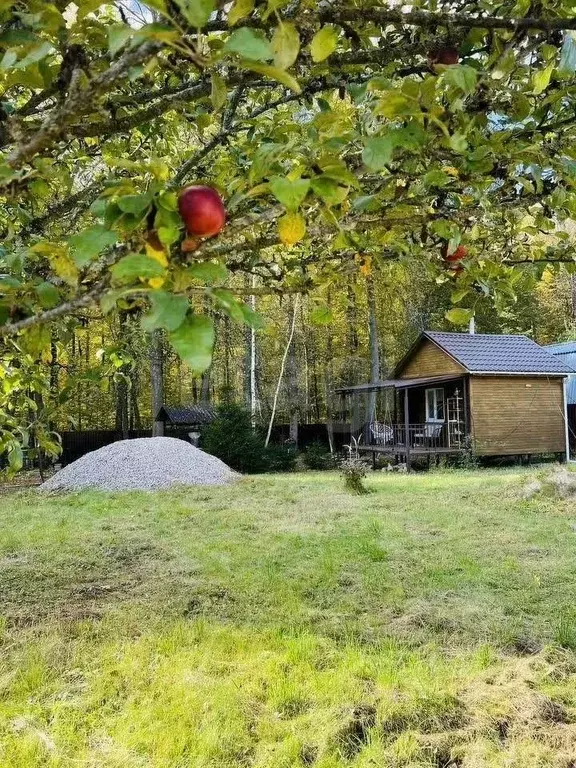 Дом в Калужская область, Перемышльский муниципальный округ, Большие ... - Фото 2