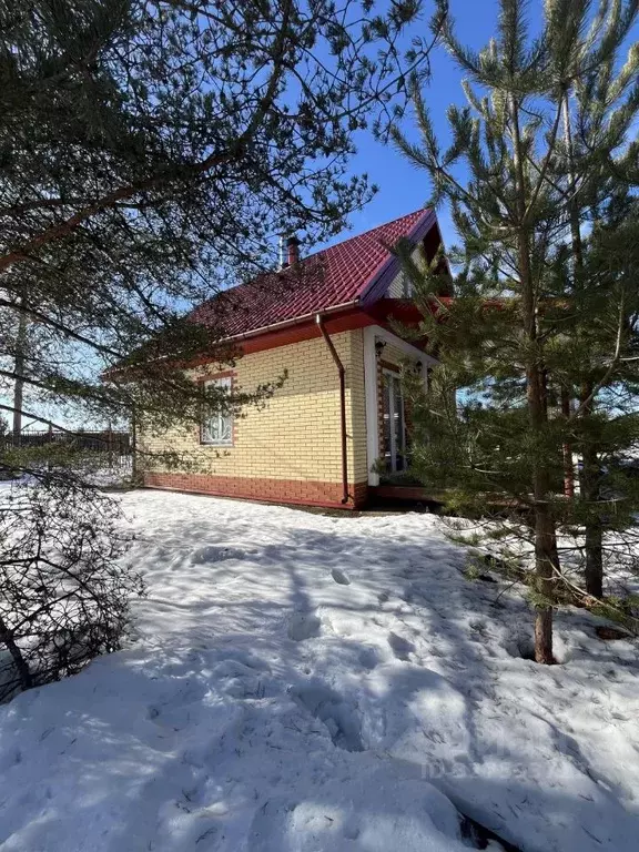 Дом в Ленинградская область, Гатчинский муниципальный округ, Голубые ... - Фото 2