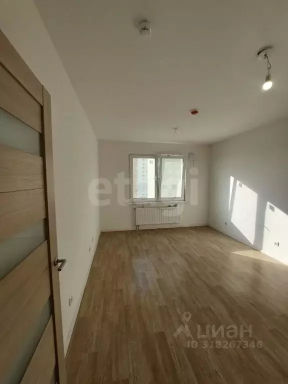 Студия Санкт-Петербург дор. Муринская, 25к2 (20.5 м) - Фото 1