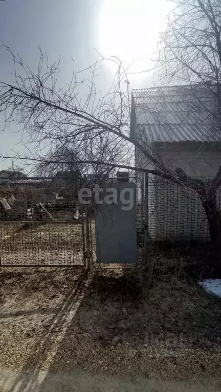 Дом в Липецкая область, Липецк Строитель СТ, 738 (60 м) - Фото 1