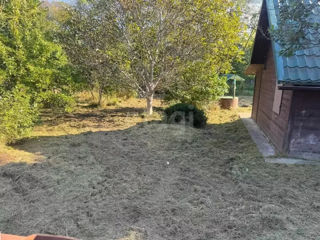 Участок в Калининградская область, Пионерский Пограничное СНТ,  (5.2 ... - Фото 1