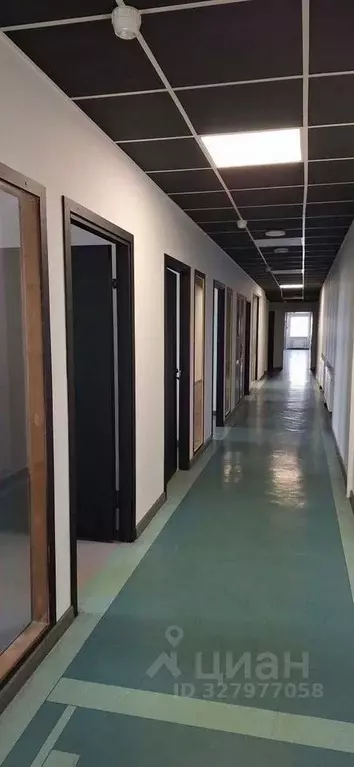 Офис в Санкт-Петербург ул. Фучика, 4 (225 м) - Фото 1