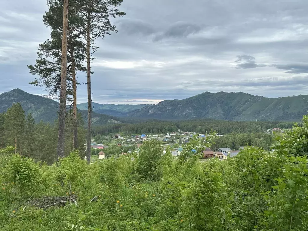 участок в алтай, майминский район, с. озерное ул. лесная (10.0 сот.) - Фото 0