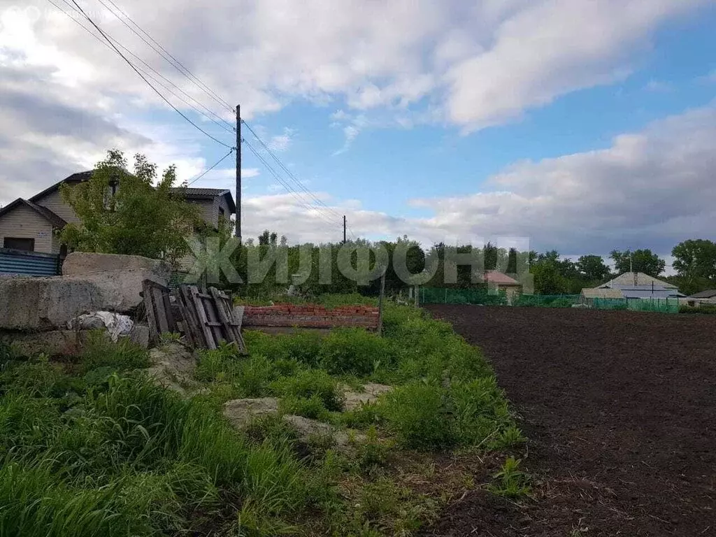 Участок в село Толмачёво, Сибирская улица (5 м) - Фото 0