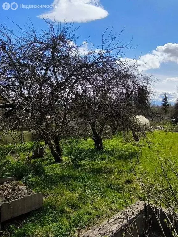 Участок в Ленинградская область, Гатчинский муниципальный округ, СТ ... - Фото 1