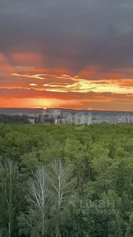 3-к кв. Башкортостан, Уфа ул. Машинистов, 8 (77.0 м) - Фото 2