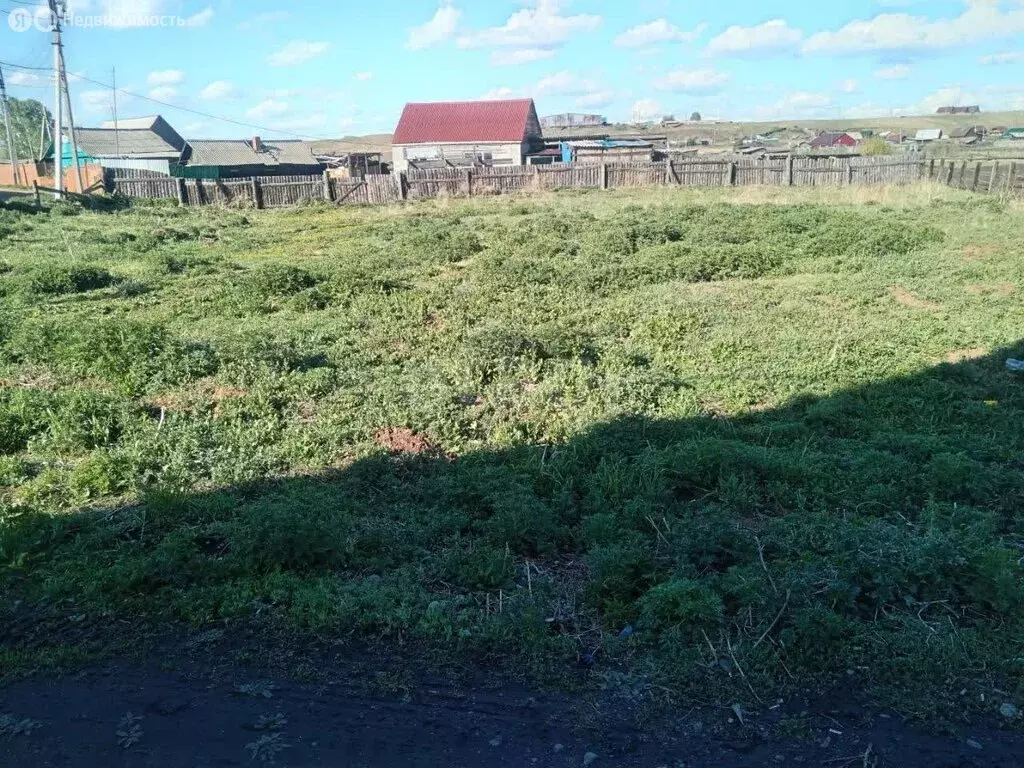 Участок в Иркутский муниципальный округ, деревня Куда (16 м) - Фото 2