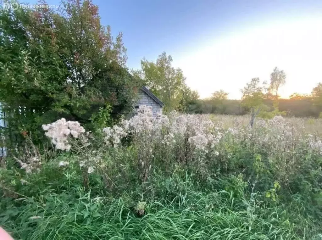 Участок в село Молгачи, улица Титова (8 м) - Фото 0