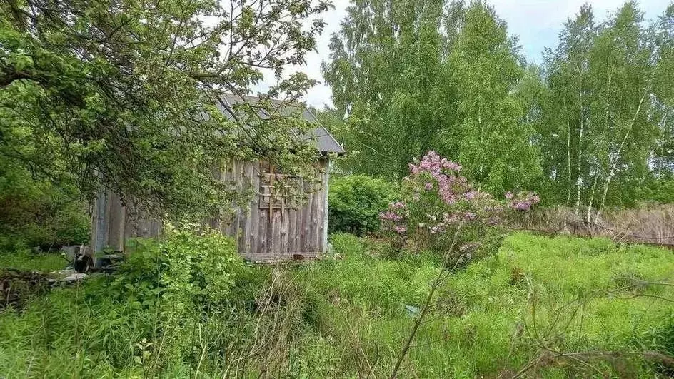 Дом в Брянская область, Брянский район, Снежское с/пос, с. Толмачево, ... - Фото 0