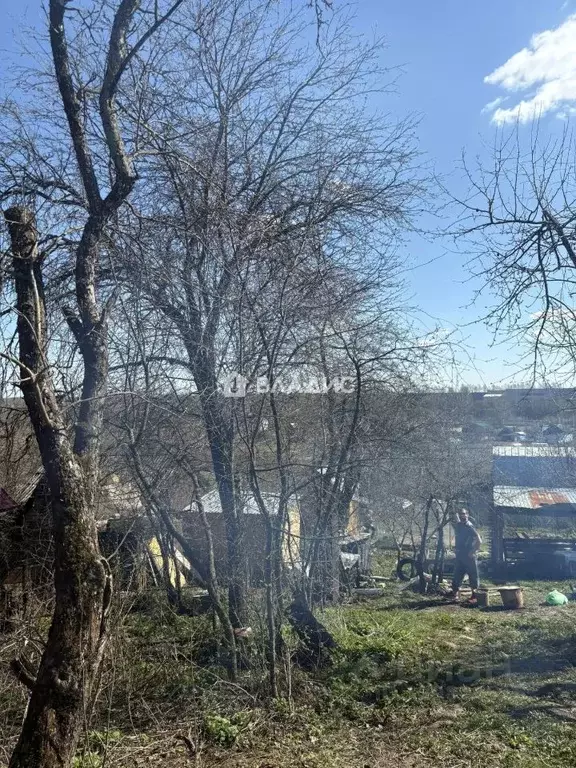 Участок в Нижегородская область, Нижний Новгород д. Анкудиновка, ... - Фото 2