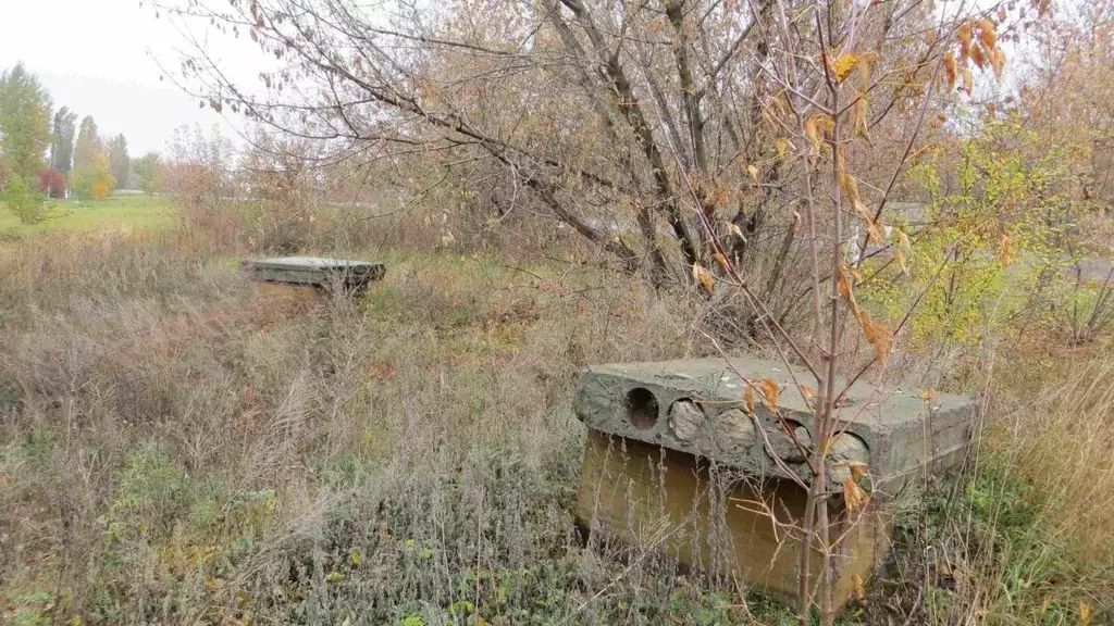 Помещение свободного назначения в Воронежская область, Бутурлиновка ... - Фото 2