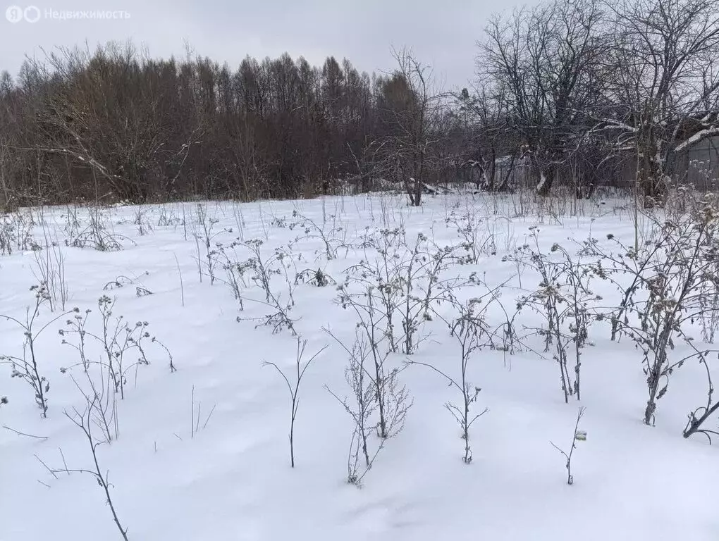 Участок в Саранск, СТ Зелёная Роща-1 Обкома КПСС (6.08 м) - Фото 0