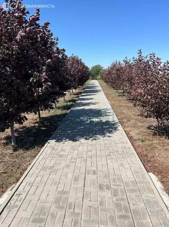 Участок в Ленинаван, улица Андрея Рублёва, 14/1 (4 м) - Фото 0