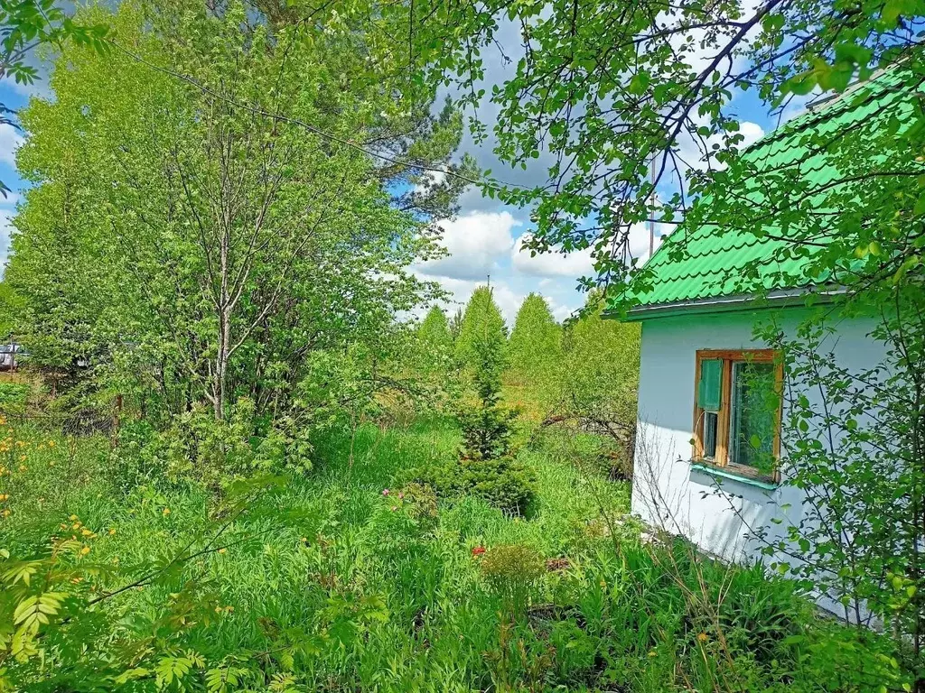 Дом в Кемеровская область, Новокузнецкий муниципальный округ, с. ... - Фото 1