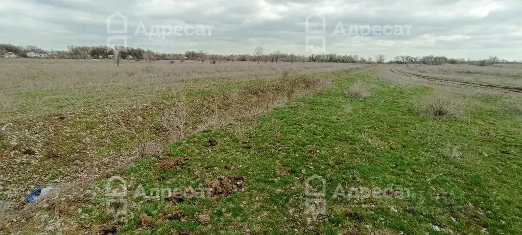 Участок в Волгоградская область, Среднеахтубинский район, Клетское ... - Фото 0