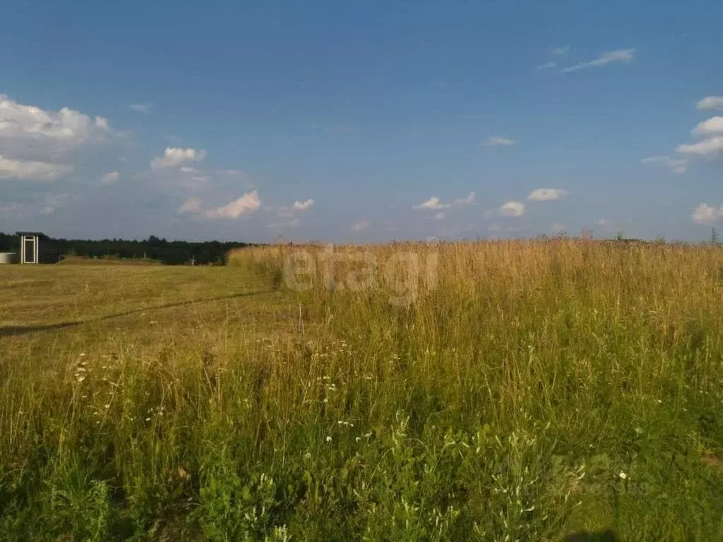 Участок в Вологодская область, д. Борисово (Борисовский сельсовет)  ... - Фото 1