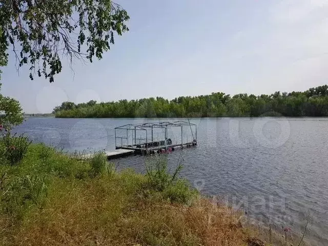 Участок в Волгоградская область, Ленинский район, с. Каршевитое ... - Фото 0