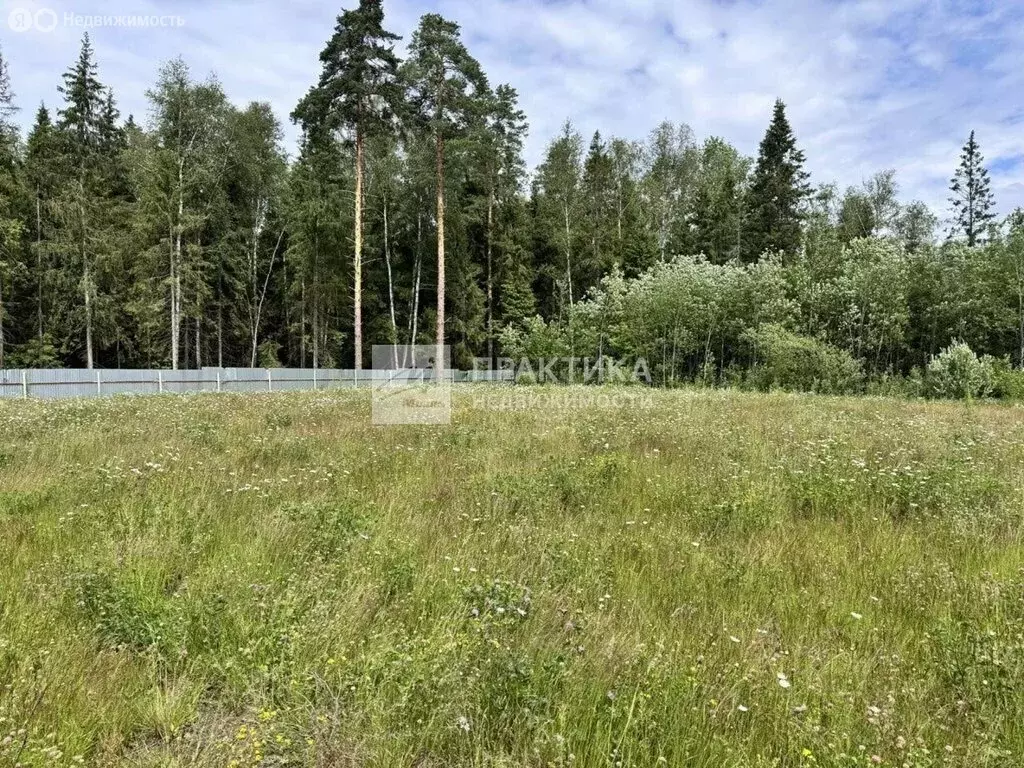 Участок в Московская область, городской округ Пушкинский, деревня ... - Фото 1