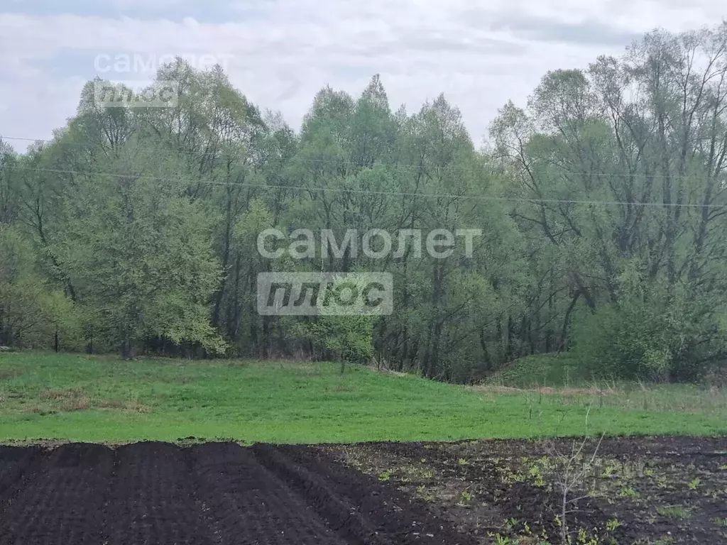 Участок в Башкортостан, Иглинский район, с. Калтыманово ул. И. ... - Фото 0