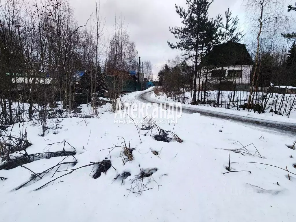 Участок в Ленинградская область, Приозерский район, Ларионовское ... - Фото 1