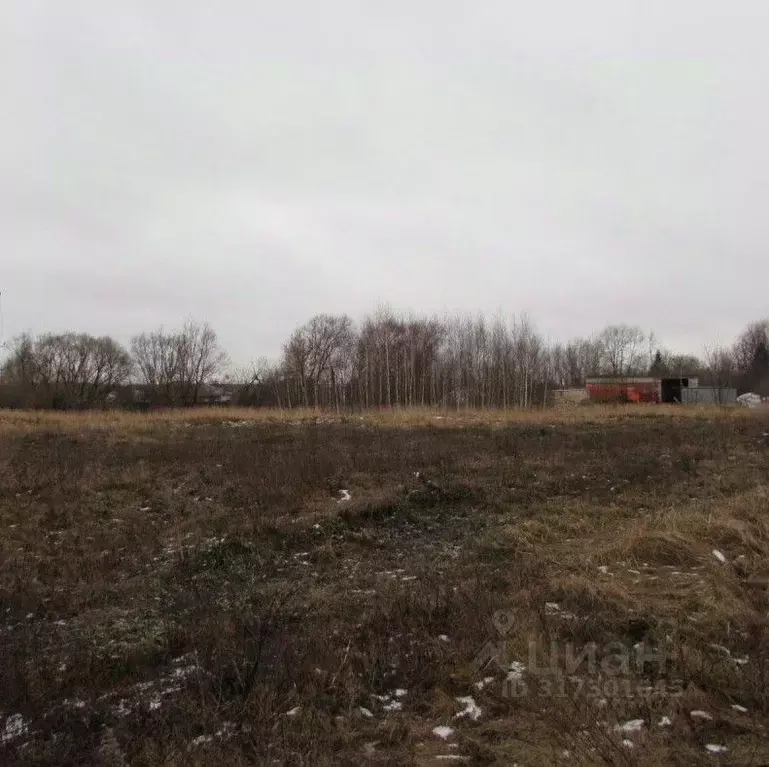 Участок в Московская область, Озеры Коломна городской округ, Луговая ... - Фото 1