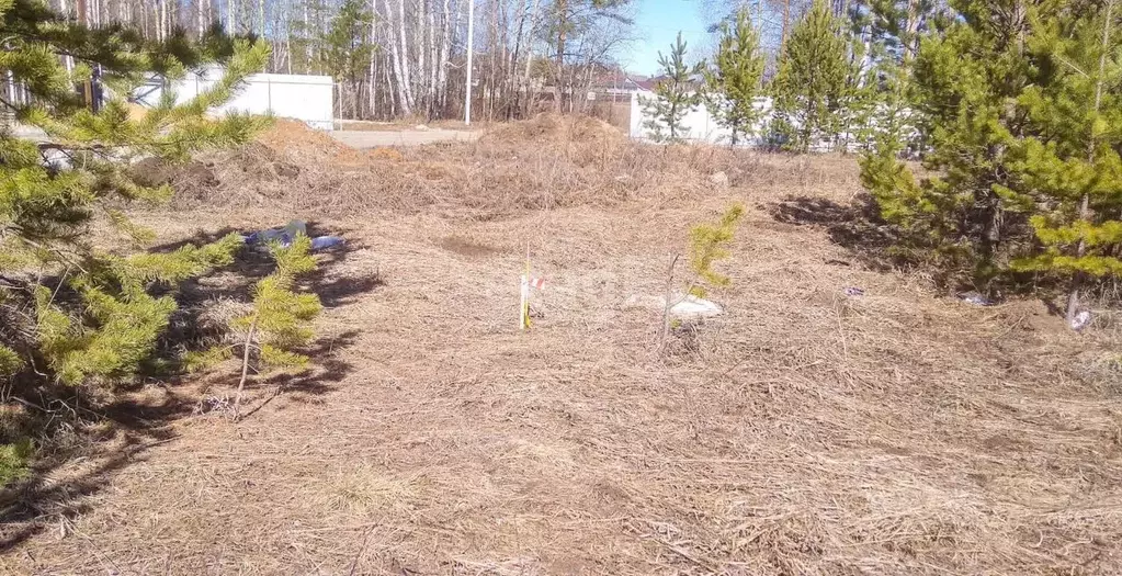 Участок в Свердловская область, Полевской муниципальный округ, с. ... - Фото 1