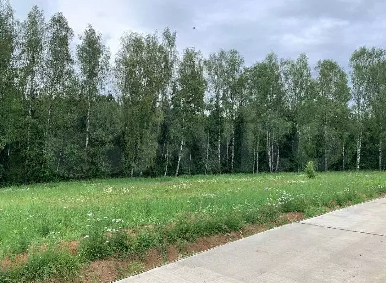 Участок 9,1 сот. (ИЖС) - Фото 0